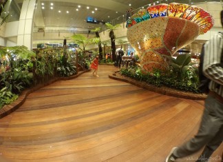 Singapore Changi Airport – The Engineering Marvel with Nature Touch Singapore Changi Airport