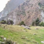 Trek to Oat Trek at Lunta Valley Dharamshala