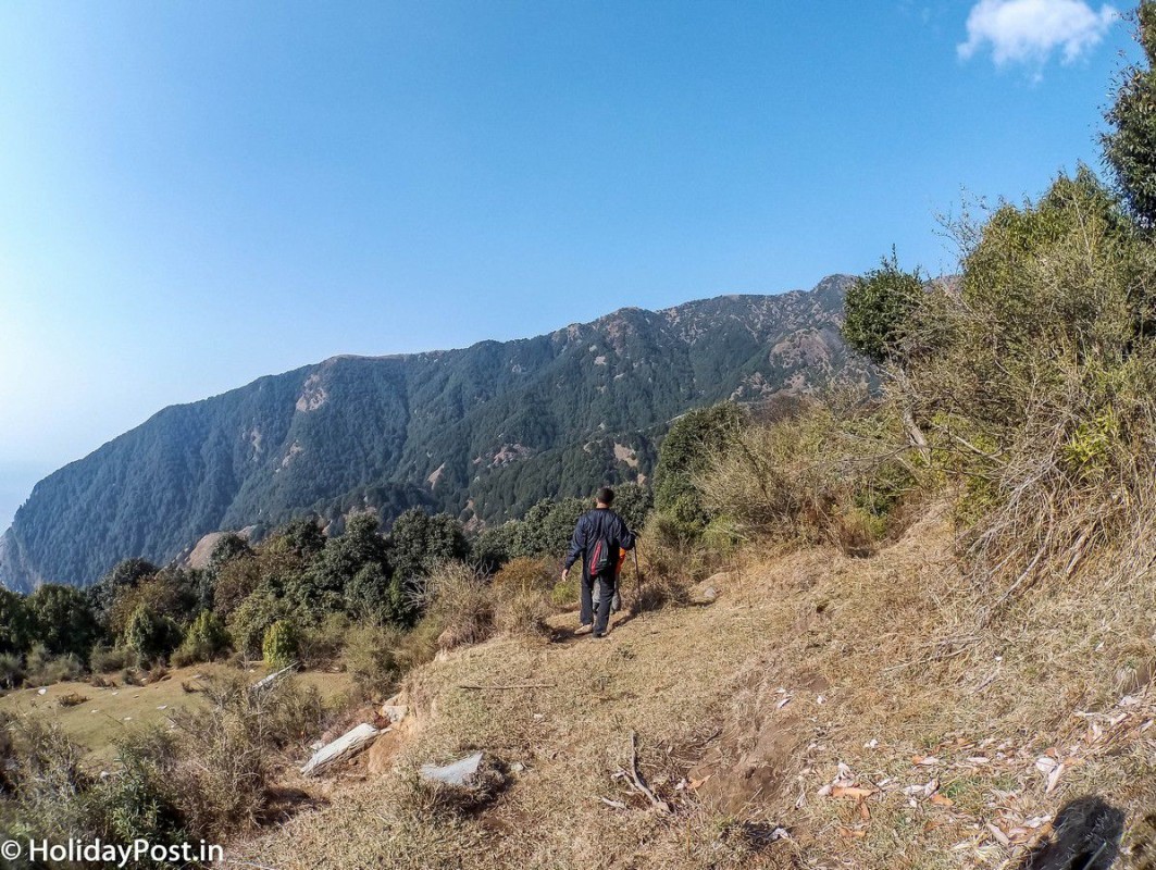 Trek to Oat Trek at Lunta Valley Dharamshala