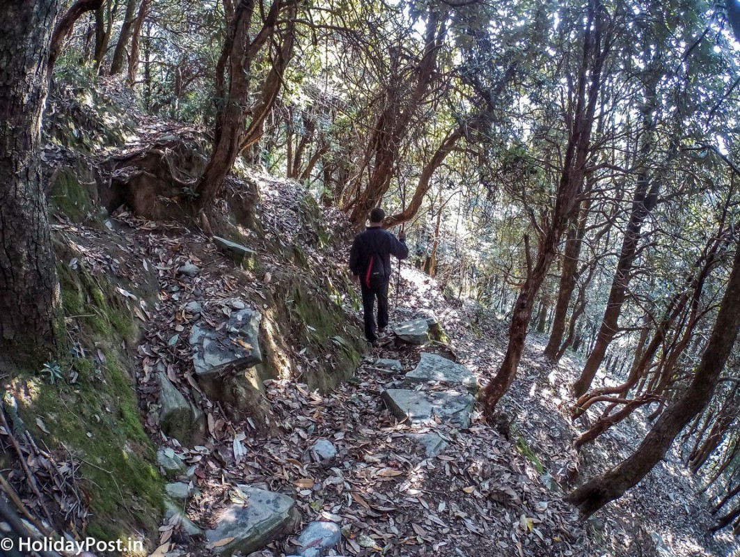 Trek to Oat Trek at Lunta Valley Dharamshala