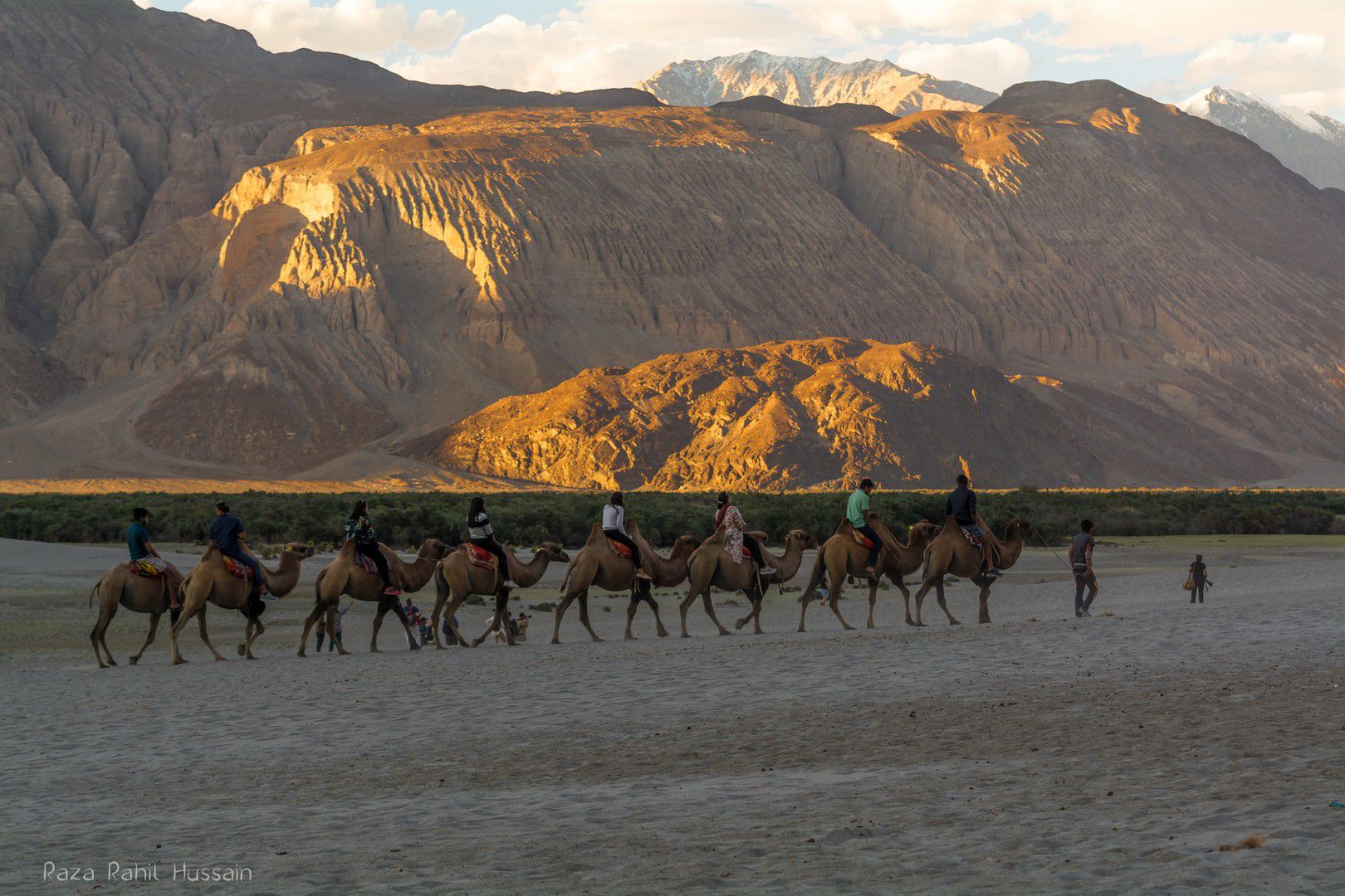 Camel Ride, Nubra Valley