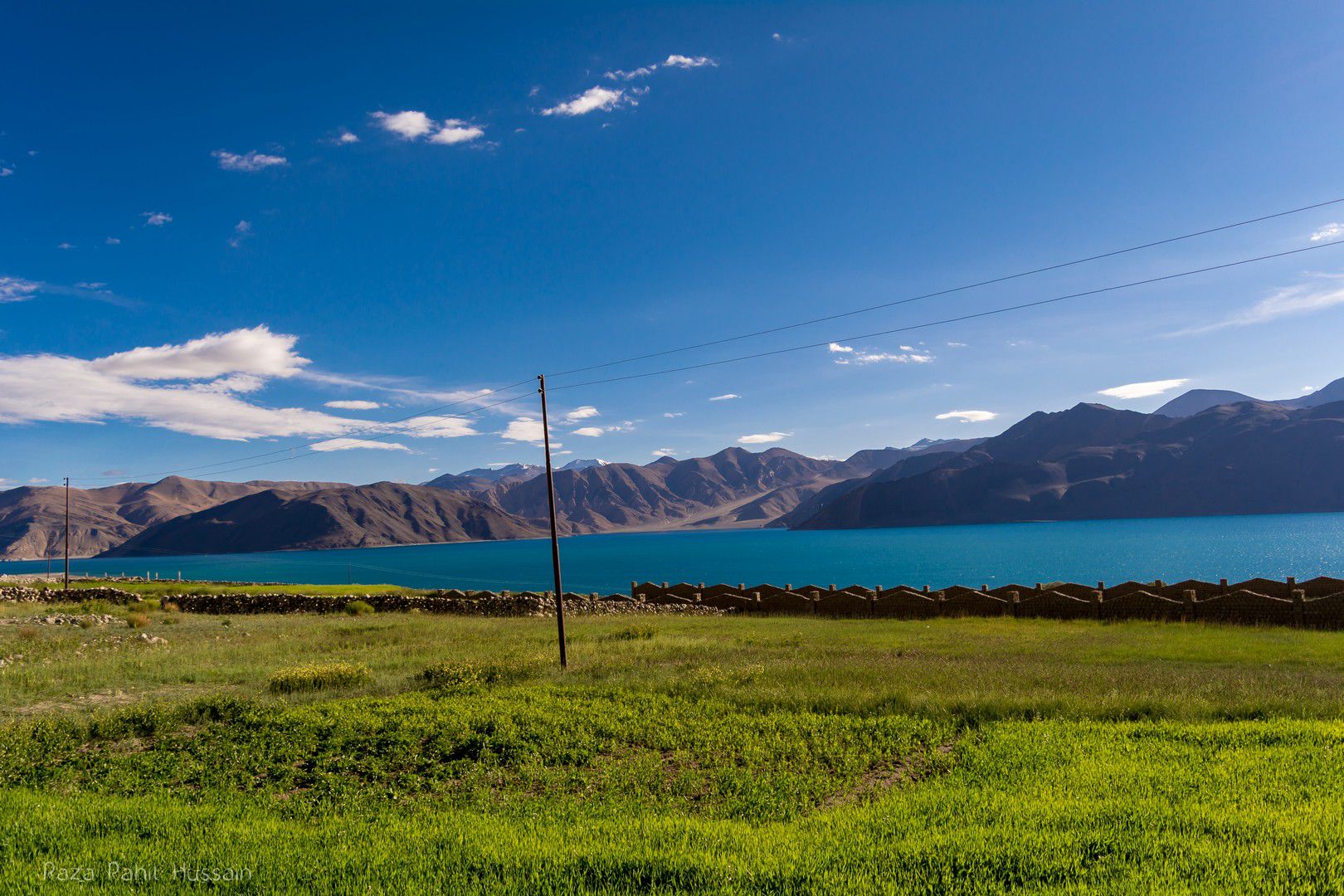 Pangong Tso, Ladakh