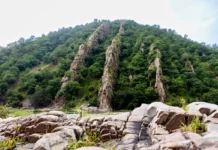 Phulwari Ki Nal Wildlife Sanctuary – Nature’s Paradise in Udaipur Rajasthan Phulwari Ki Nal