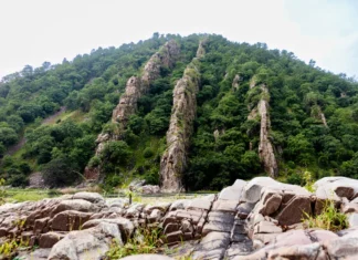 Phulwari Ki Nal Wildlife Sanctuary – Nature’s Paradise in Udaipur Rajasthan Phulwari Ki Nal